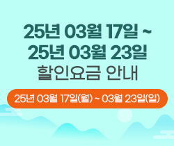할인요금