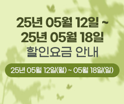 할인요금