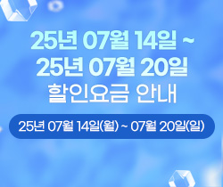 할인요금