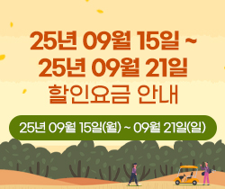 할인요금